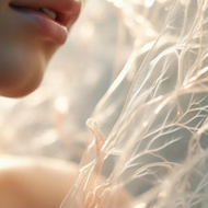 복합시술 프로토콜