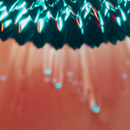 복합시술 프로토콜