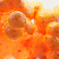 복합시술 프로토콜