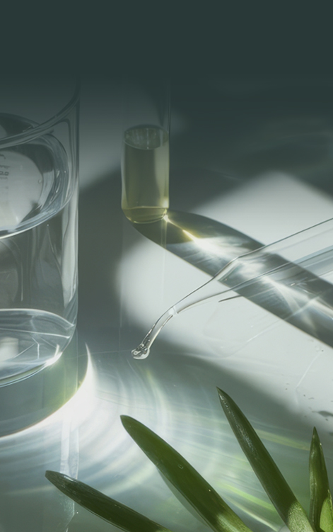 하예의 Body Solution